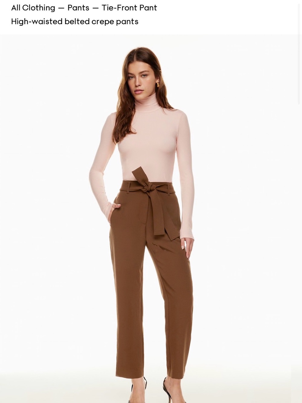 Wilfred High-Waisted Tie-Front Crepe Pants in dusty pink, aritzia